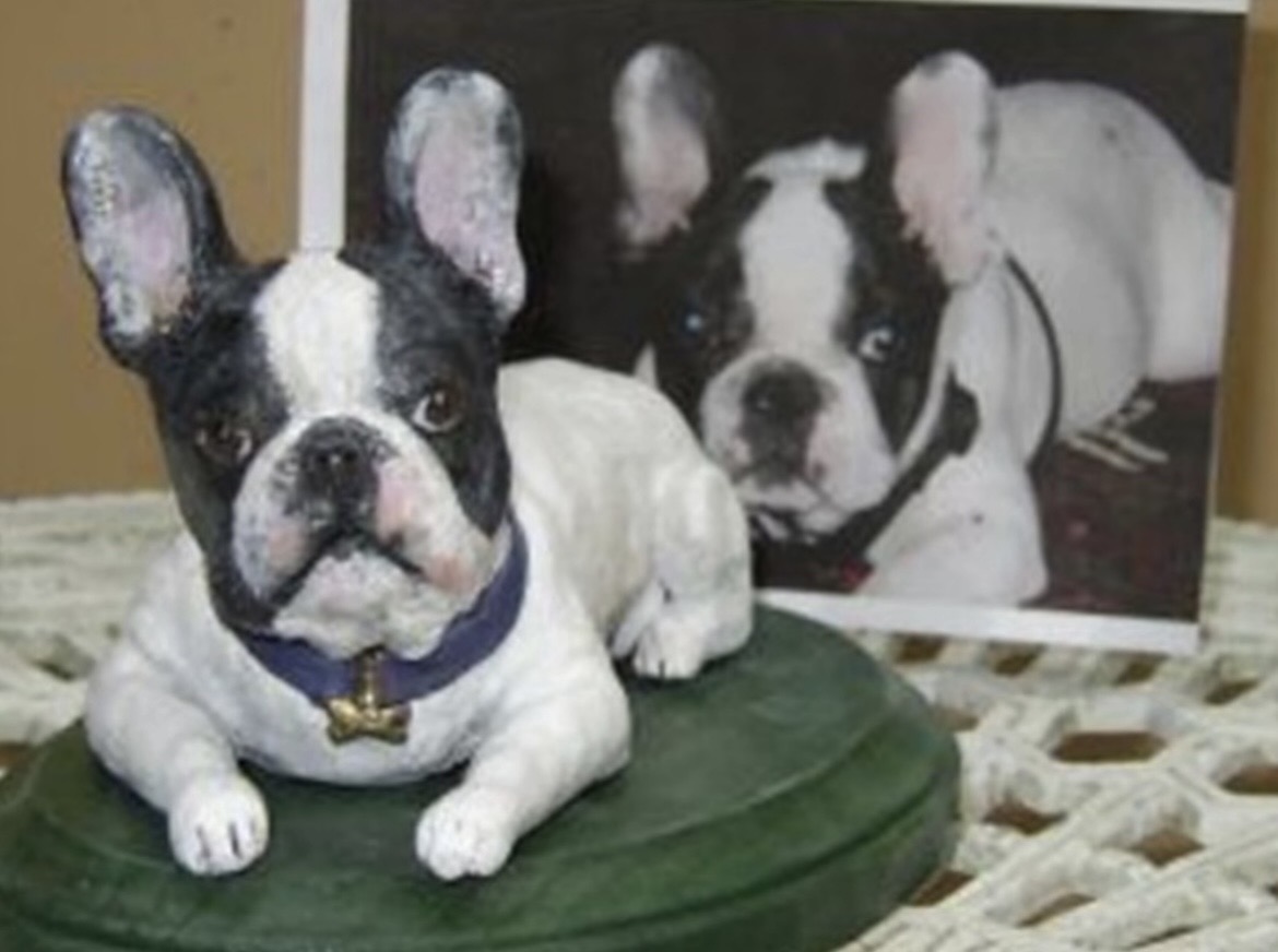 White and black dog