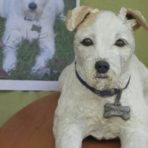 White dog with blue collar