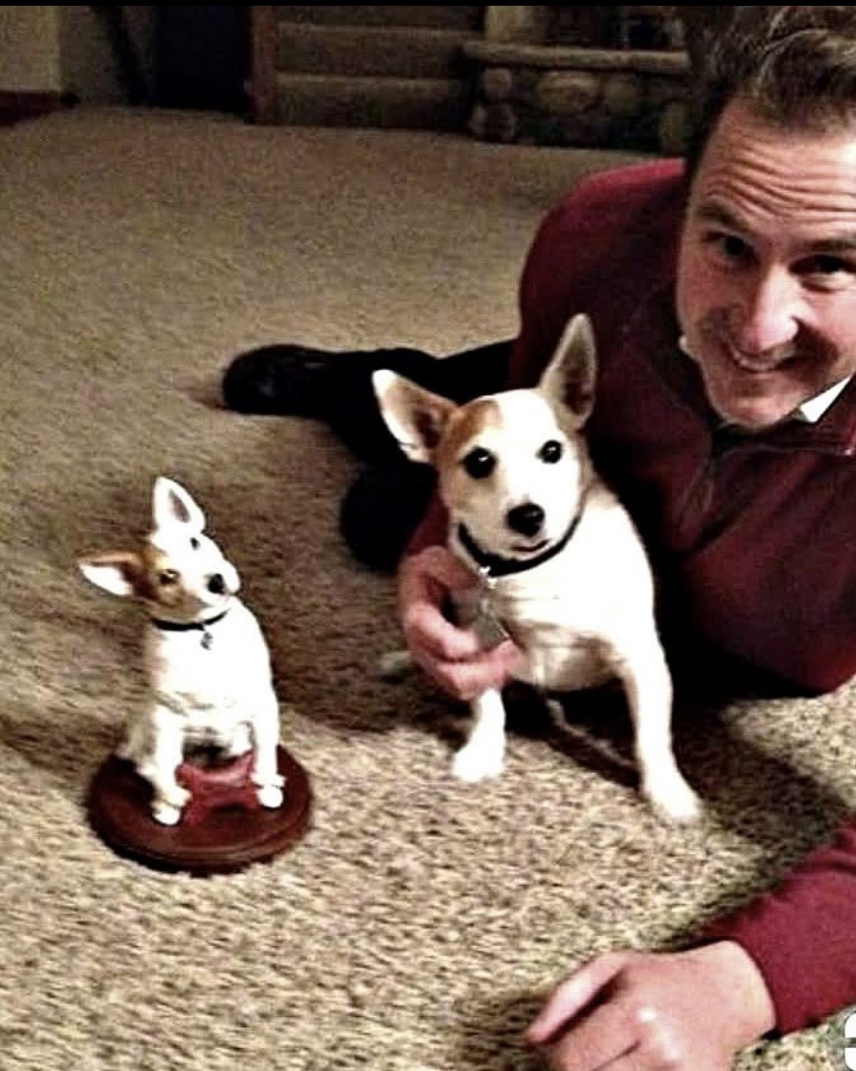 Smiling man in a red sweater kneels beside a happy white-and-brown dog